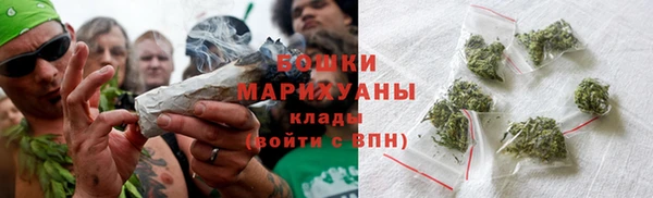 стаф Ельня