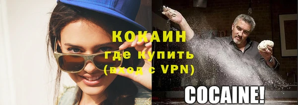 стаф Ельня