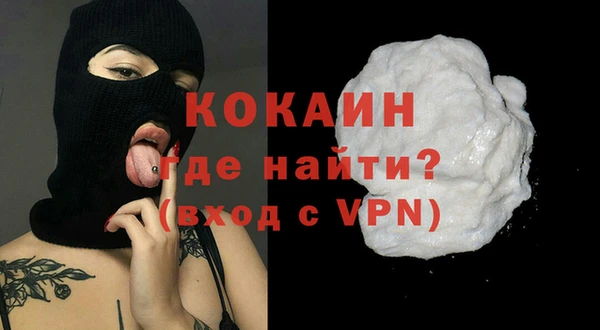 стаф Ельня
