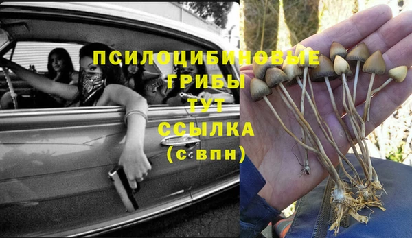 а пвп мука Елабуга