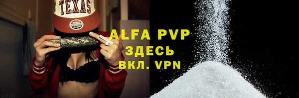 стаф Ельня