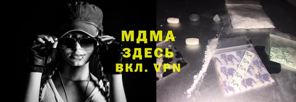 стаф Ельня