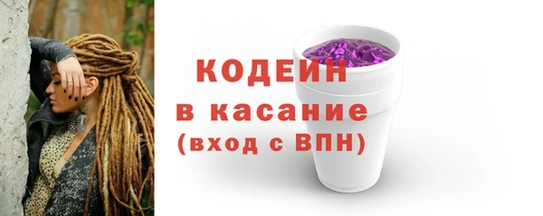 стаф Ельня