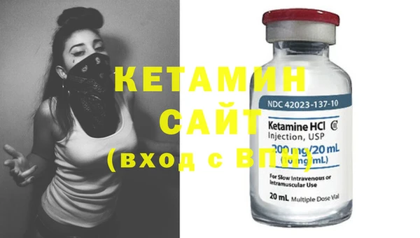 стаф Ельня