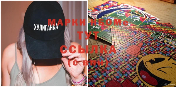 стаф Ельня