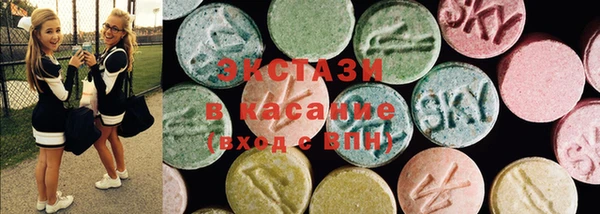 стаф Ельня