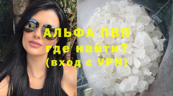 стаф Ельня