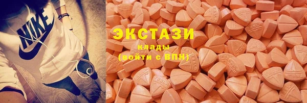 стаф Ельня
