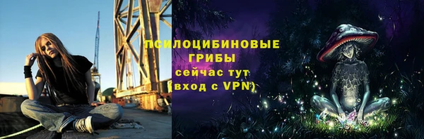 стаф Ельня