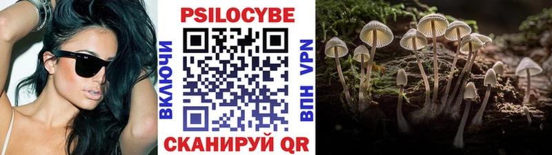 Галлюциногенные грибы MAGIC MUSHROOMS  что такое наркотик  Новоузенск 