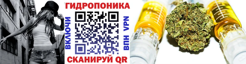 Конопля OG Kush  Новоузенск 